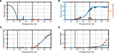 Applications of Coarse-Grained Models in Metabolic Engineering